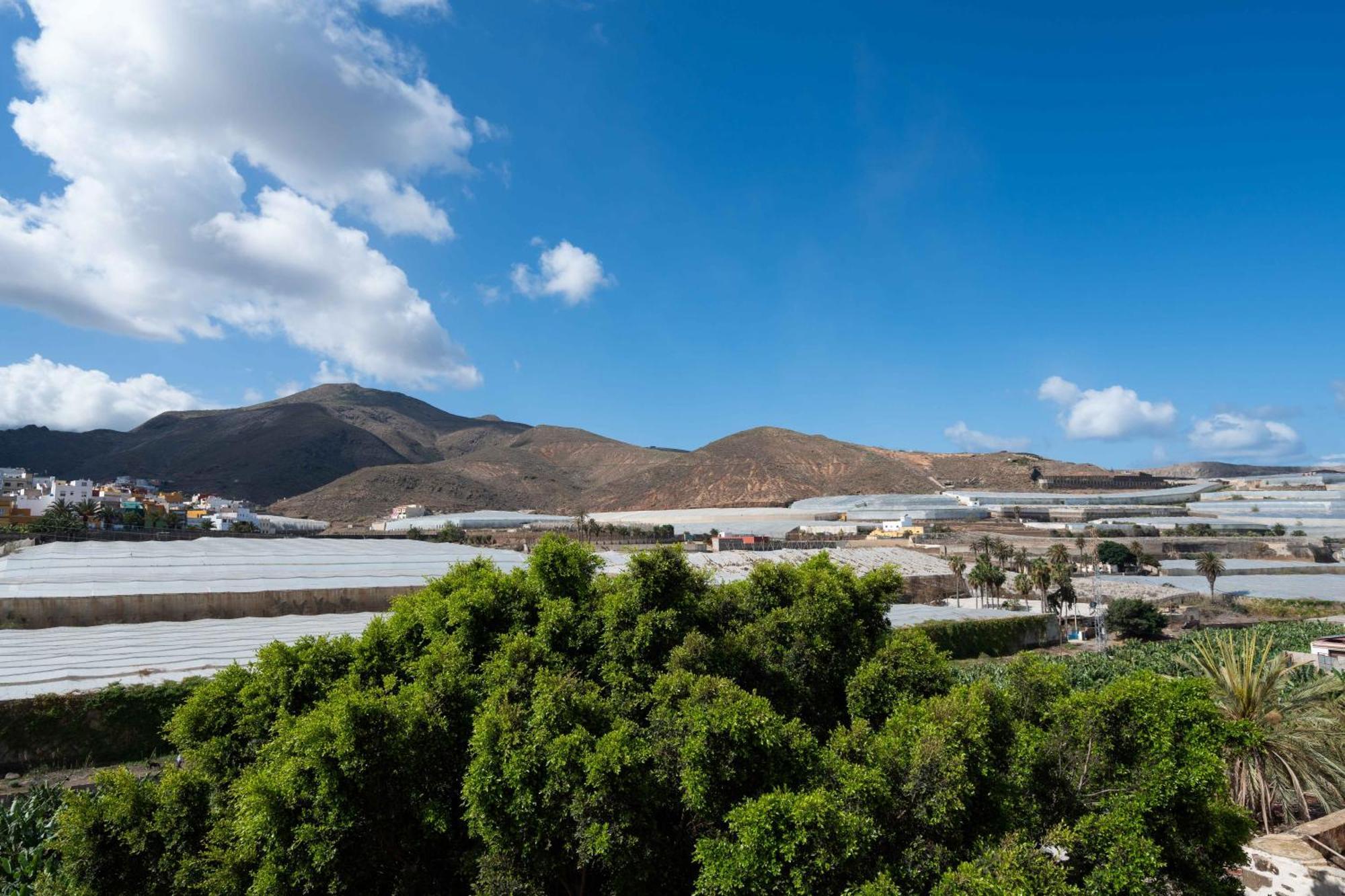Las Fajanas De Galdar Las Palmas Buitenkant foto